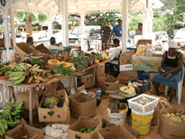 Marigot, am Obstmarkt