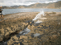 Aus einem unterhöhlten alten Corallenriff am La Gallion Beach kommt eine Wasserfontaine