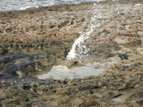 Aus einem unterhöhlten alten Corallenriff am La Gallion Beach kommt eine Wasserfontaine