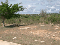 Eindrücke von Anguilla-ein der vielen Ziegen