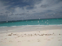 Shoal Bay-der Rafaello Strand