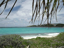 Ein Traum: In den Hängematten am Shoal Bay unter Palmen-DAS ist Urlaub